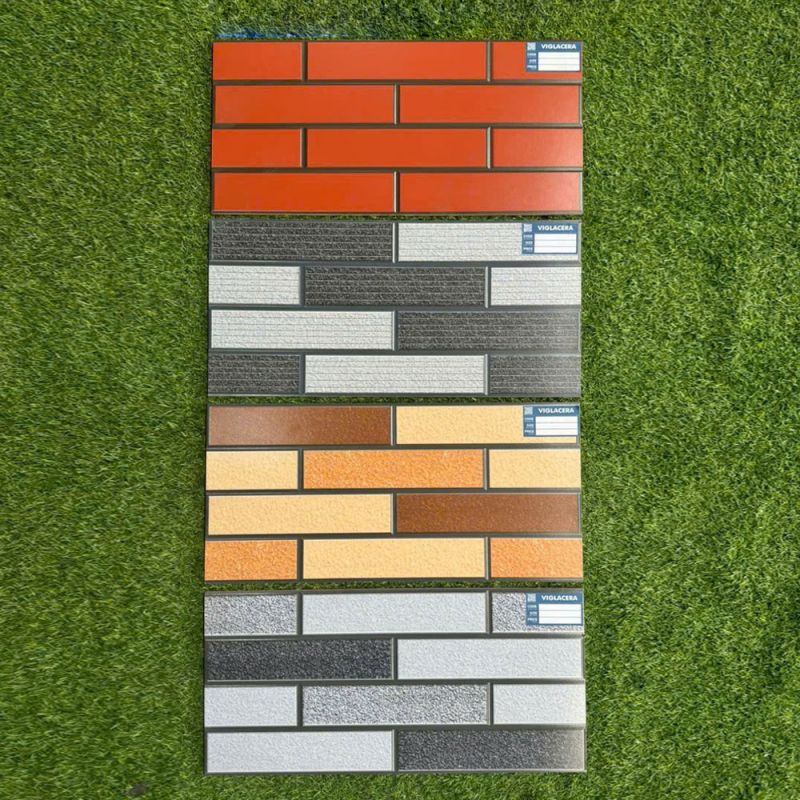 Gạch ốp tường Viglacera kích thước 30x60