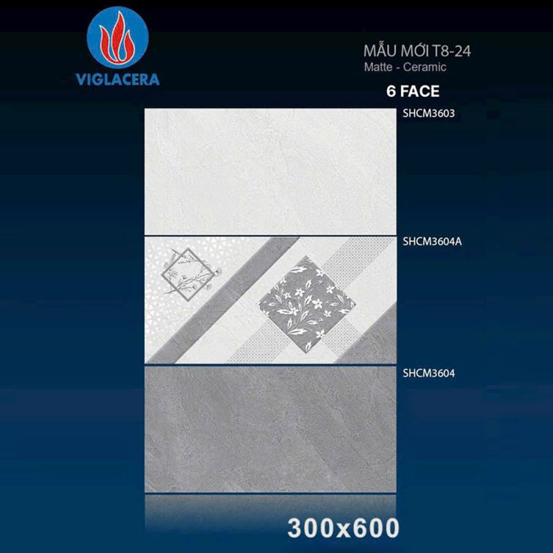 Gạch ốp tường Viglacera kích thước 30x60 SHCM 3603-3604A-3604